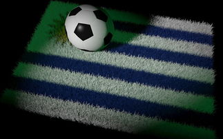 ac米兰官网首页-法国球员在世界杯预选赛中表现出色