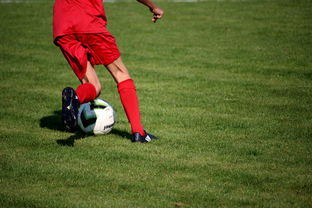 米兰体育官网登录入口-体育新闻中心联合高校打造“体育+传媒”实践课程体系 第2张